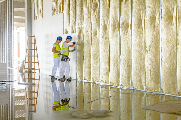Best Geographic-Specific Insulation Services in Wickenburg, AZ